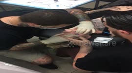 'World's most tattooed woman' who almost went BLIND after inking eyeballs gets procedure done AGAIN (part 3)