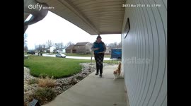 Delivery Driver Knows Cat by Name