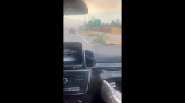 Wild horses evacuate from Davis fire in Nevada