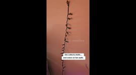 Girl Decorates With Cicada Shells