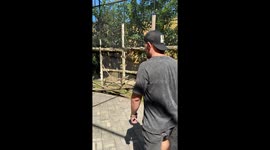 Man Hangs Out With Zoo Lemur