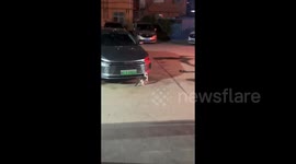 China: Cat Cathes Rats From The Car