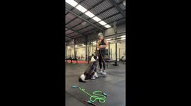 Border Jumps Rope With Owner