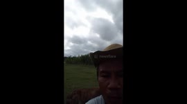 Two cows trample farmer as he records video of himself in field