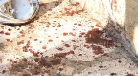 Syria: Death toll from Israeli airstrikes in Syria rises to 26, says Observatory