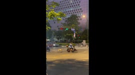 Chinese dog impresses with balance on skateboard while crossing street