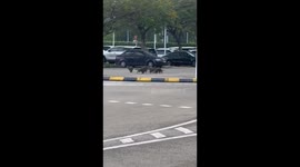Wild otters attack female jogger leaving her crying in a pool of blood