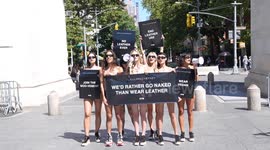 USA: PETA activists rally