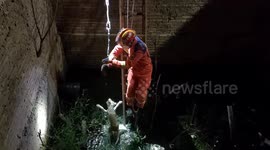 Heroic moment fire fighter rescues dog falling into deep pit in southern China