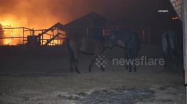 USA: Wrightwood Bridge Fire Older Woman and Cat Evacuated by Sheriffs