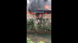 Hero youngster climbs wall to save rabbits from burning house