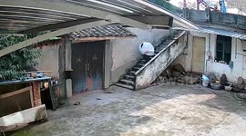 Thief uses bedsheet as 'invisibility cloak' to sneak through house and steal valuables in China