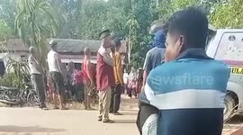 Five-months pregnant woman, 33, killed by herd of elephants in Indonesia