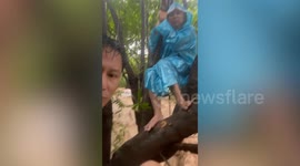Resident stranded in tree pleads for help during Myanmar floods