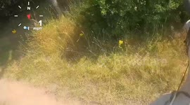Terrifying moment horse bolts at 28mph - with 10-year-old on its back