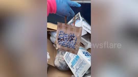 Dumpster diver's daily hauls see her grab $20k of brand new items for free a year