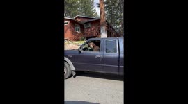 You Can't Park There, Bear