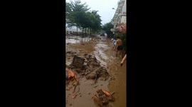 People clean up thick mud after flood waters recede in northern Vietnam