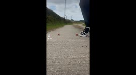 ‘I’ve earned £118,000 selling feet pictures – here’s my warning to Lily Allen’ (part 1)