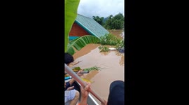Kitten stranded in Thailand floods rescued by search team