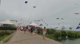 Hundreds of unique kites take over sky during international festival in India