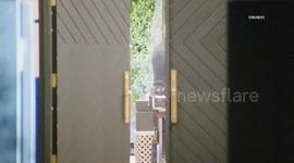 USA: Encino Reggie Bush Thwarts Attempted Home Invasion