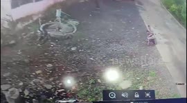 Locals fight off wild jackal that attacked them on roadside