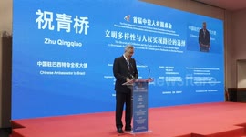 Brazil: China, Latin American, Caribbean countries hold roundtable discussions on human rights