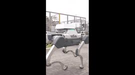 Robot dog inspects substation in S China