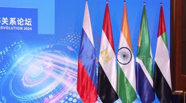 BRICS Forum on Partnership on New Industrial Revolution 2024 held in SE China's Xiamen