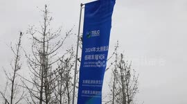 Int'l experts highlight China's role in global energy transition