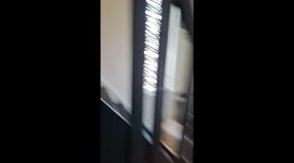 Cat caught first mouse at 10 years old in Tilburg, Netherlands