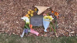 Flowers left at tree in memory of September 11th terrorist attack victims in Sydney, Australia
