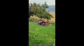 Helpful Dog Hops On Lawn Mower