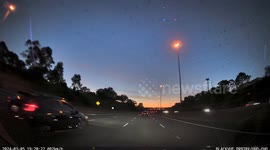 Spectacular sight of thousands of bats flying over the Melbourne's Eastern Freeway
