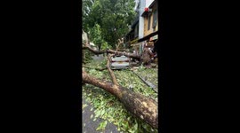 Typhoon Yagi devastates Hanoi’s Old Quarter with destroyed car, trees & nonstop rain