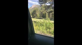 Family Sees Bear Up Close in National Park