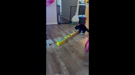 Tuxedo Cat Tries To Fit In Long Box