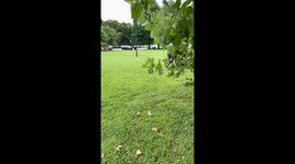 Self-balancing Scooters Quickly Move Picnic Table
