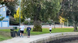 Sunny Morning at Lake Merritt