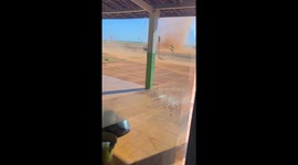 Whirlwind Doesn't Faze Chickens