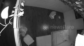 Security footage captures 3.5-year-old twin brothers breaking through a 6-foot vinyl fence installed in their bedroom after other baby-proofing methods failed. Levi pushes through and falls, disoriented, while Bryce joyfully welcomes him. Levi, in his dis