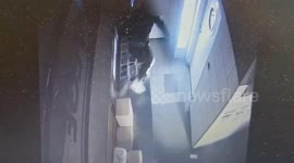 Crook who posed as a mannequin to burgle shops is jailed in Poland