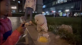 Chinese dog celebrates birthday with owner and passersby