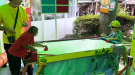 Clever monkey wins air hockey game against child in Nikko, Japan