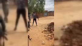 Sudan: The Armed Forces and the Joint Forces says its forces liberated the city of El Fasher from the RSF forces