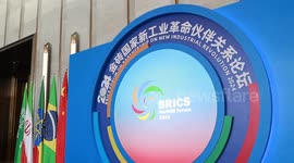 BRICS cooperation fosters opportunities in various fields: experts, scholars