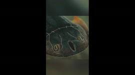 Fish species dating back 436 million years discovered in China's Chongqing