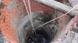 Bull winched out of well by firefighters in northern India