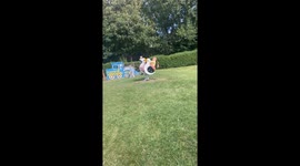 Siblings experience sheer joy while riding spring riders in the park